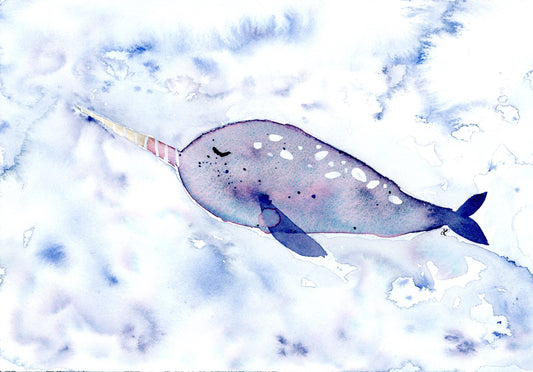 Nala the Narwhal