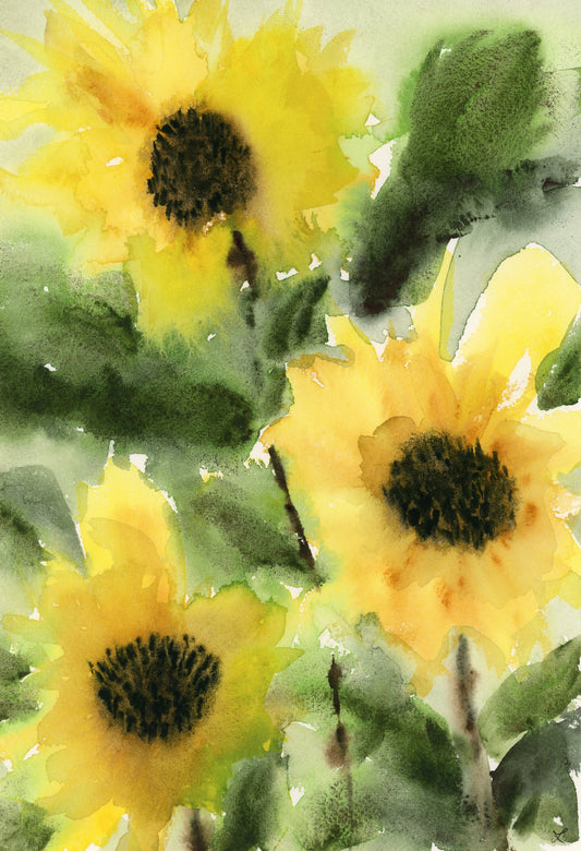 Sunflowers